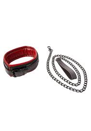 Leash & Collar1