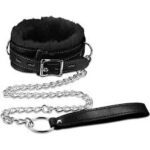 Edge Collar & Leash