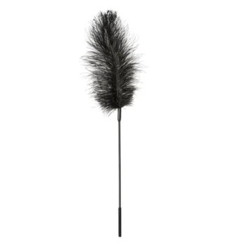 Ostrich Feather Wand