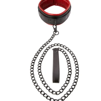 Saffron Leash & Collar